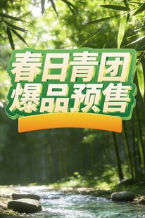 春日青团爆品预售海报