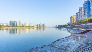 河畔城市风光 宁静美好