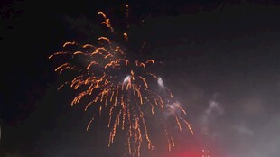 夜空中绚烂绽放的烟花