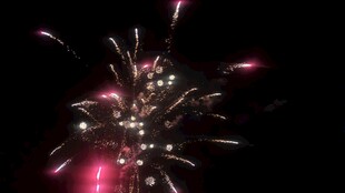 夜空中绚丽绽放的烟花