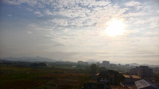 日出时分的田野景色