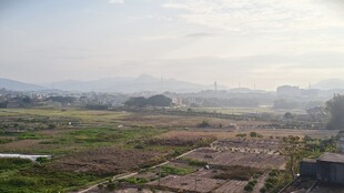 俯瞰开阔乡村田野景象