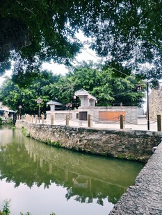 河畔石径绿荫环绕的景致