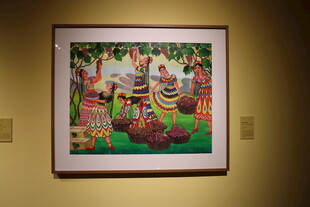 墙上展示的多彩画作