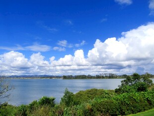 海滨蓝天绿树美景