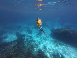 水下潜水员探索美丽海底世界