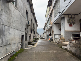 老旧小巷的静谧景象