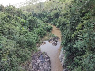 俯瞰山林间蜿蜒的河流