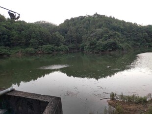 宁静湖畔的自然景致