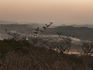 黄昏下的山峦与稀疏枝丫