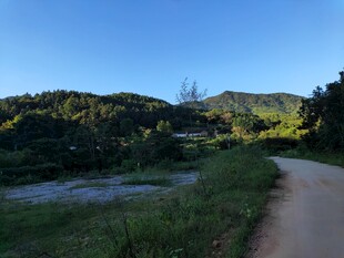 山间小路 自然清新风景