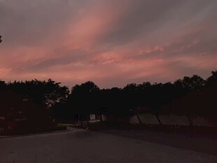 黄昏下的树林与绚烂天空