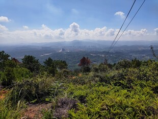山间绿野 远眺壮阔美景