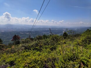 山间绿野 天际线缆美景