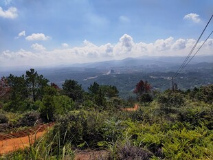 山间美景 绿意盎然的景致