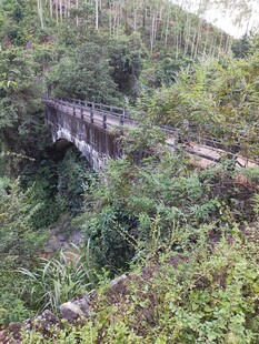 山林间的古朴栈桥