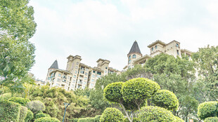 欧式别墅掩映于绿植间