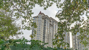 绿树掩映中的高层住宅