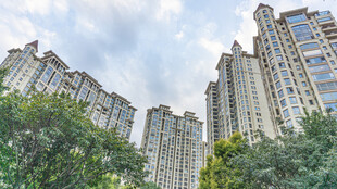 高层住宅楼与绿植景观