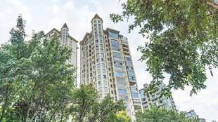 绿树环绕的高层住宅楼