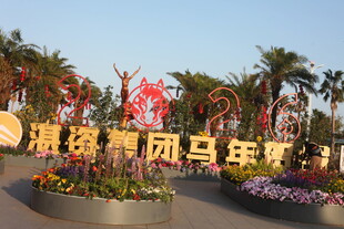 骏马奔腾贺马年景观