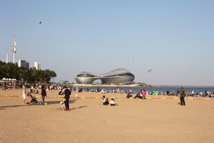 热闹的海滨沙滩场景