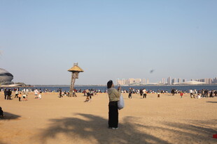 热闹沙滩上的休闲场景