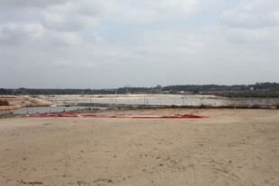 空旷沙地与远处景观