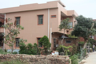 两层住宅旁的绿植景观