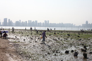 江边滩涂劳作场景