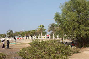 户外绿植旁的休闲场景