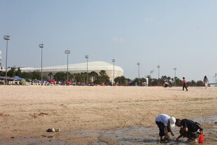 海边沙滩上的亲子劳作场景