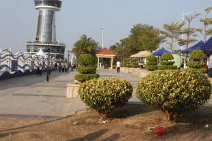 海滨景点景观与绿植