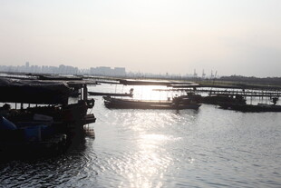 江上船只停泊景象