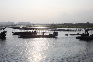 水面停泊船只的宁静景象