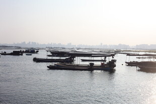 水上停泊的船只景观