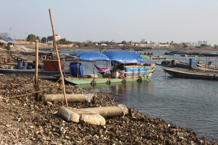 岸边停泊的多彩船只