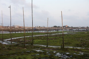 户外田野草地及围栏景象