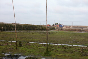 田野风光中的远处建筑