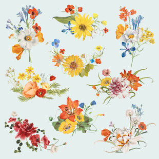 多彩手绘花卉图案集合