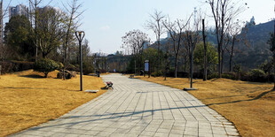 林间漫步道 冬日静谧风光