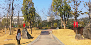 秋日公园林荫步道景观