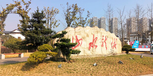 城市公园景观石