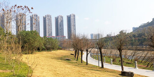 城郊河畔风景 高楼林立
