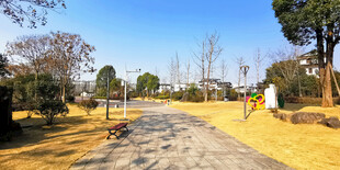 秋日林间小路风光