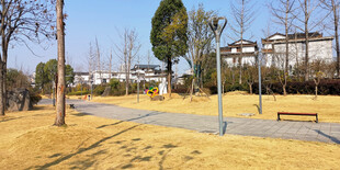 秋日公园静谧小道场景