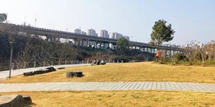 城市公园开阔景观