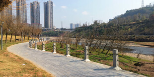 河畔步道风景