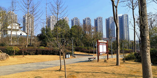 城市公园中的休闲小径