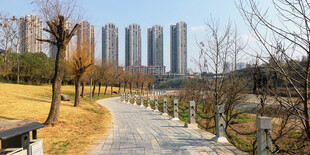 城市公园中的宁静步道